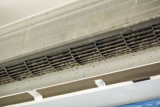 Best Ductwork Cleaning Services  in Uvalde Estates, TX